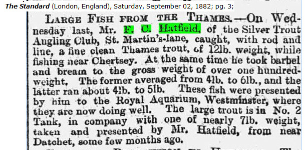 Evidence of fishy genes 